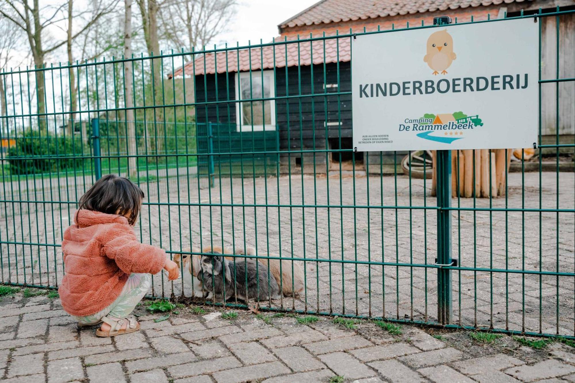 Camping De Rammelbeek Lattrop Luaran gambar